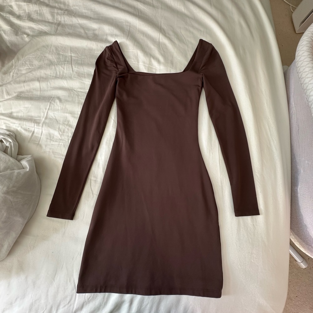 Aritzia Babaton Brown Long Sleeve Dress